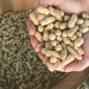 what-happens-to-the-brain-when-you-eat-peanuts-daily?-new-study-reveals-striking-results
